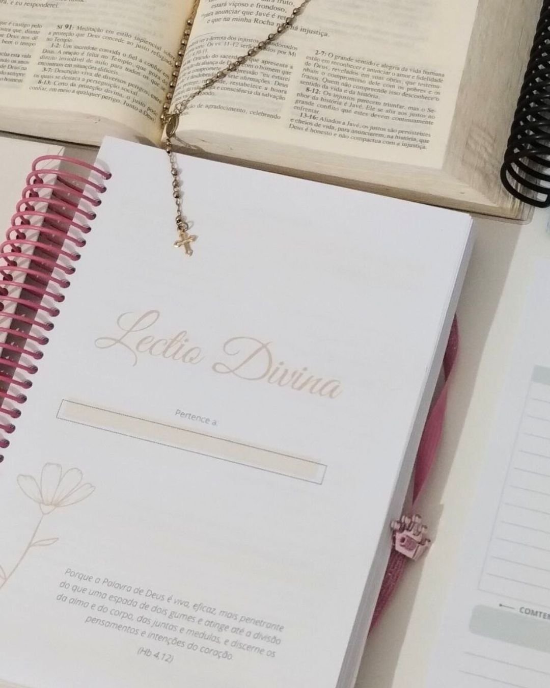 ARQUIVO LECTIO DIVINA 2026 - Imagem 6