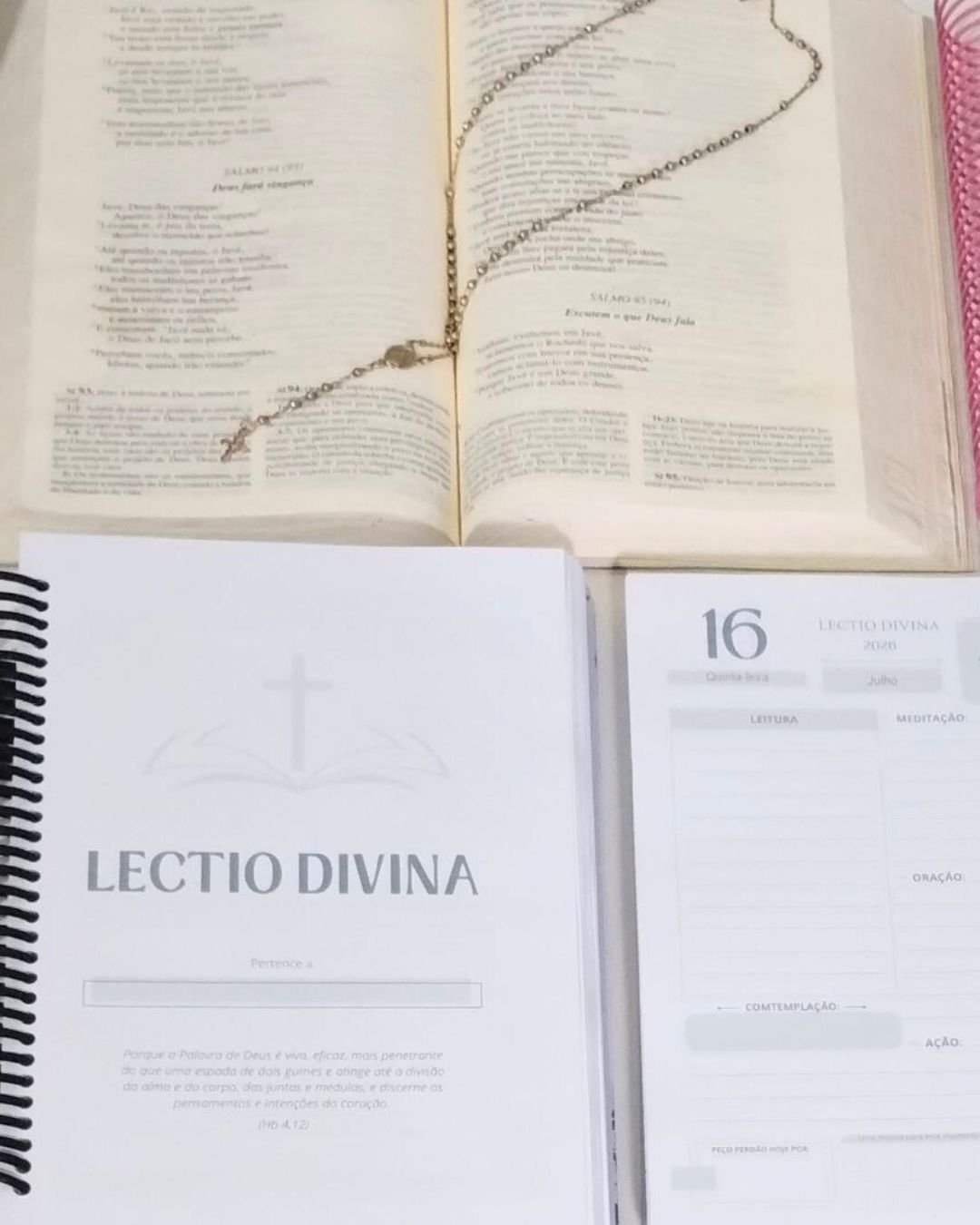 ARQUIVO LECTIO DIVINA 2026 - Imagem 4