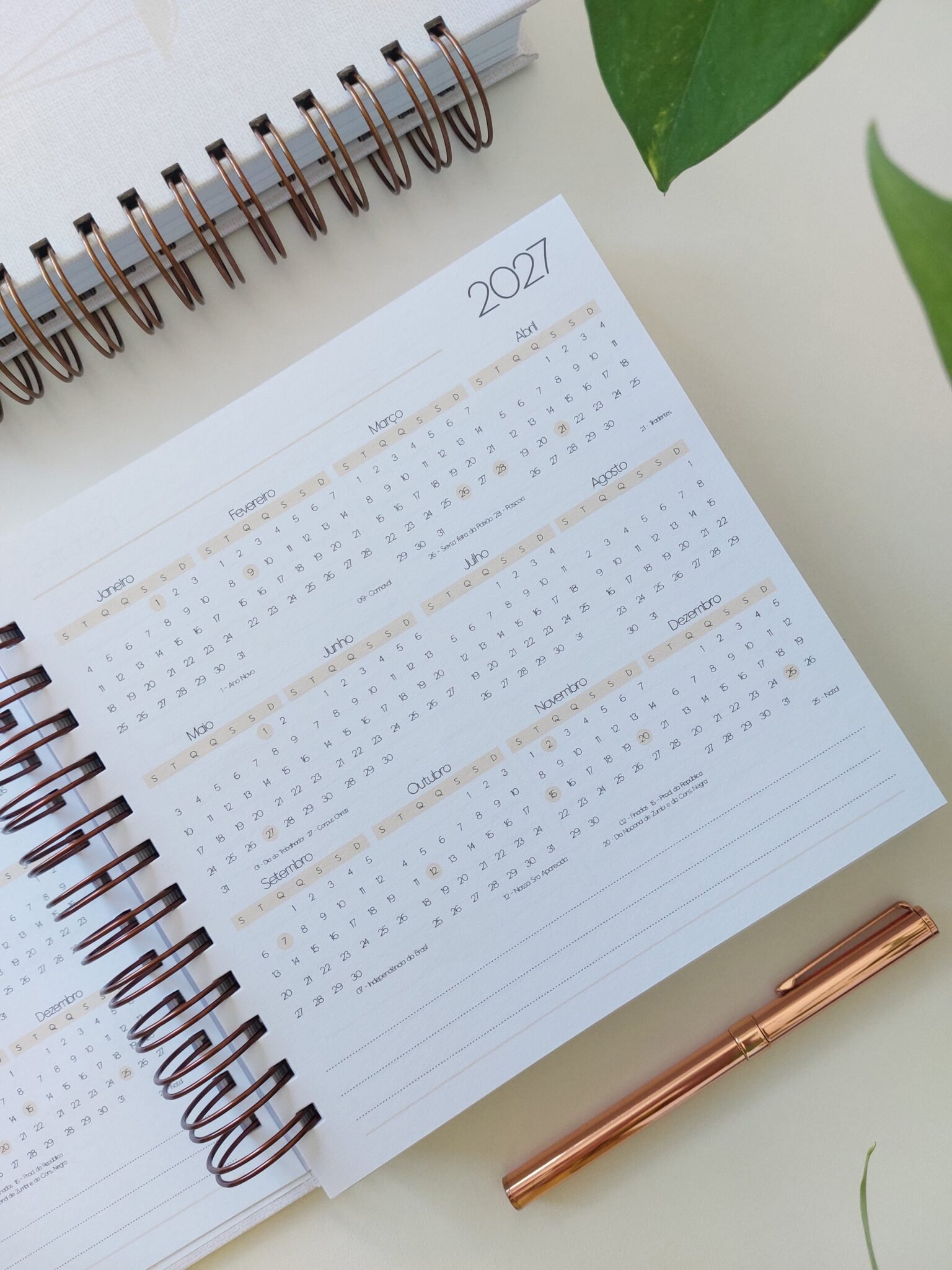 Agenda Jurídica 2026 - Marta Iurkiu - Imagem 10