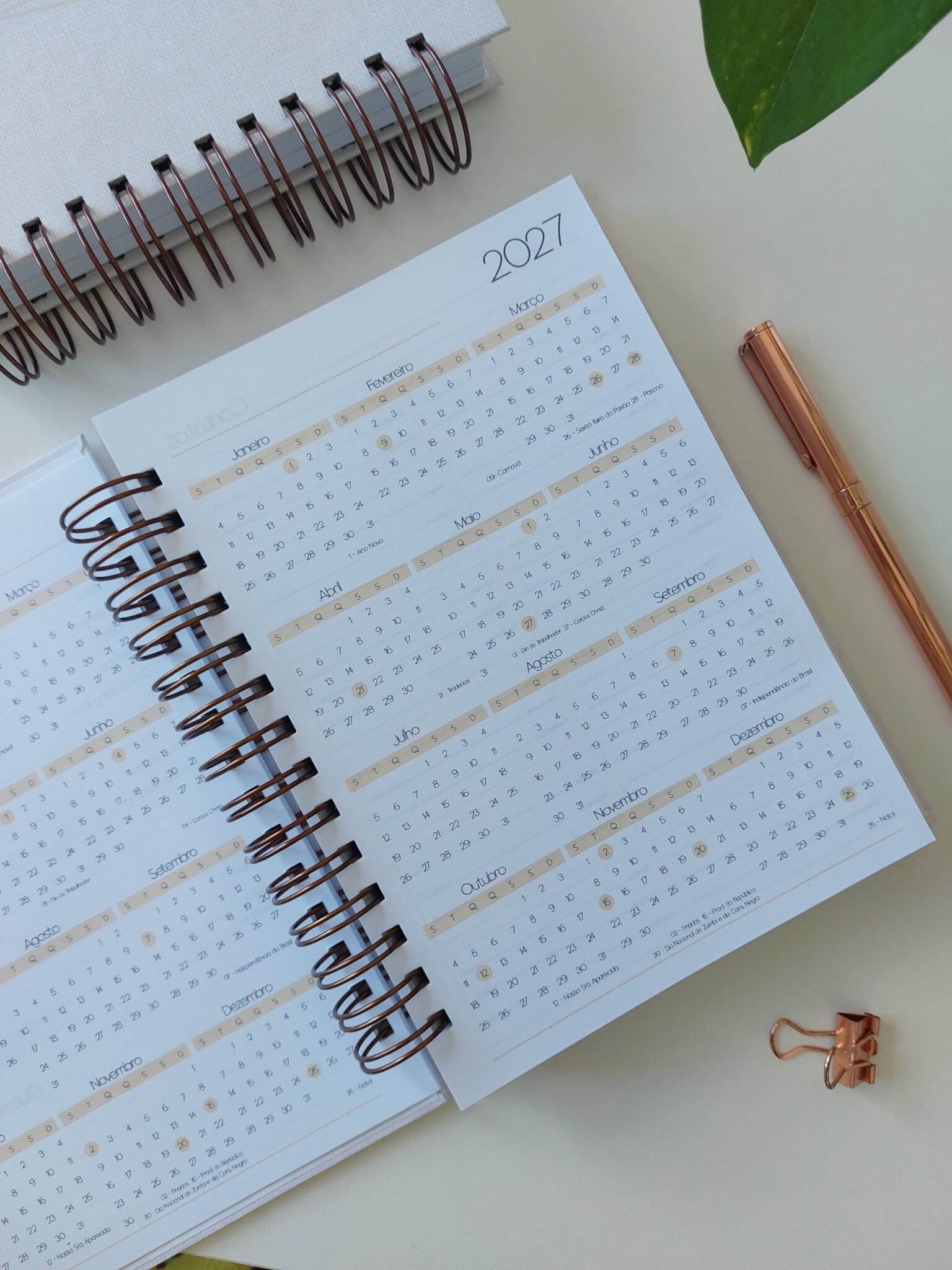 Agenda Jurídica 2026 - Marta Iurkiu - Imagem 9