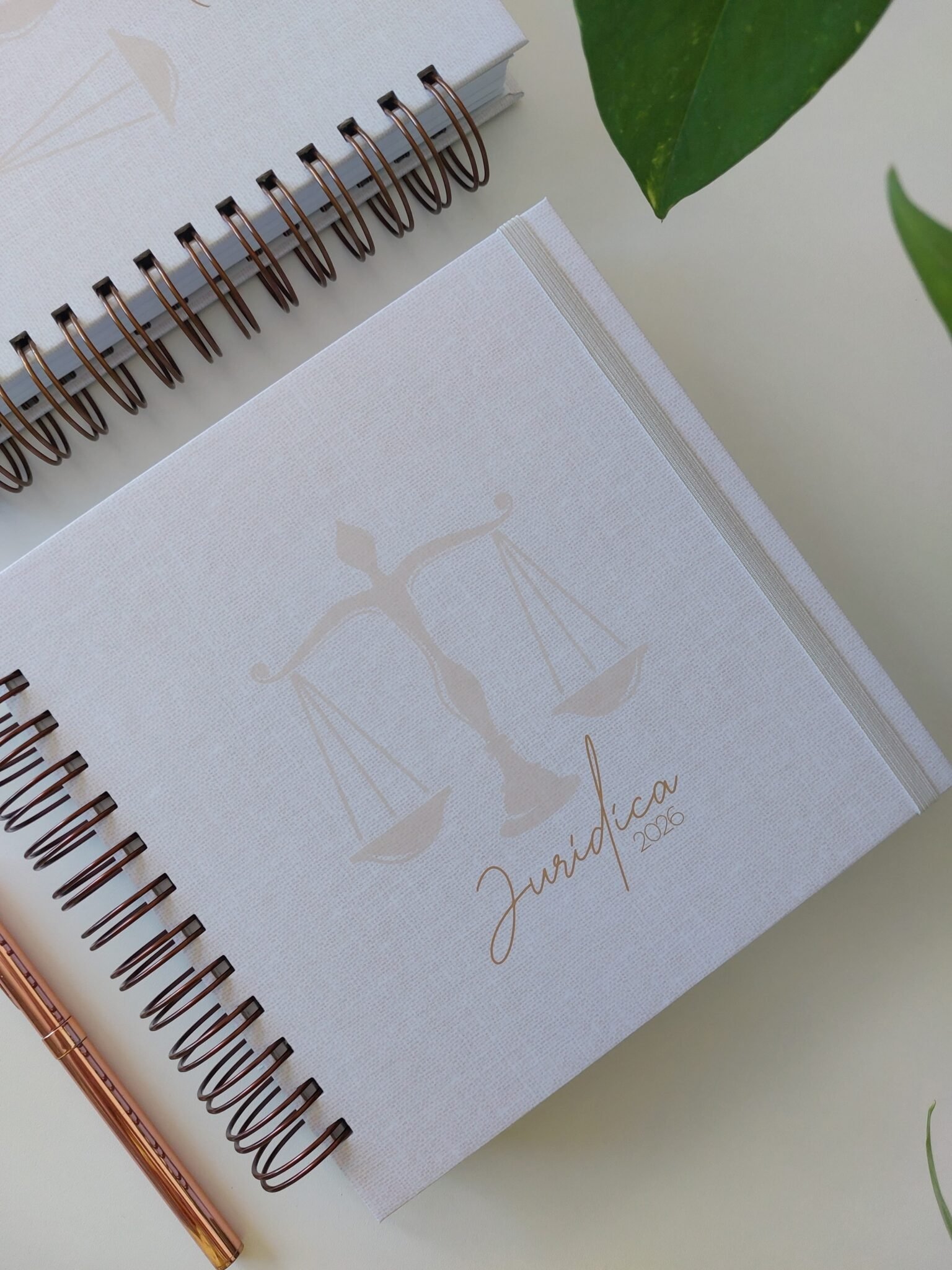 Agenda Jurídica 2026 - Marta Iurkiu - Imagem 11