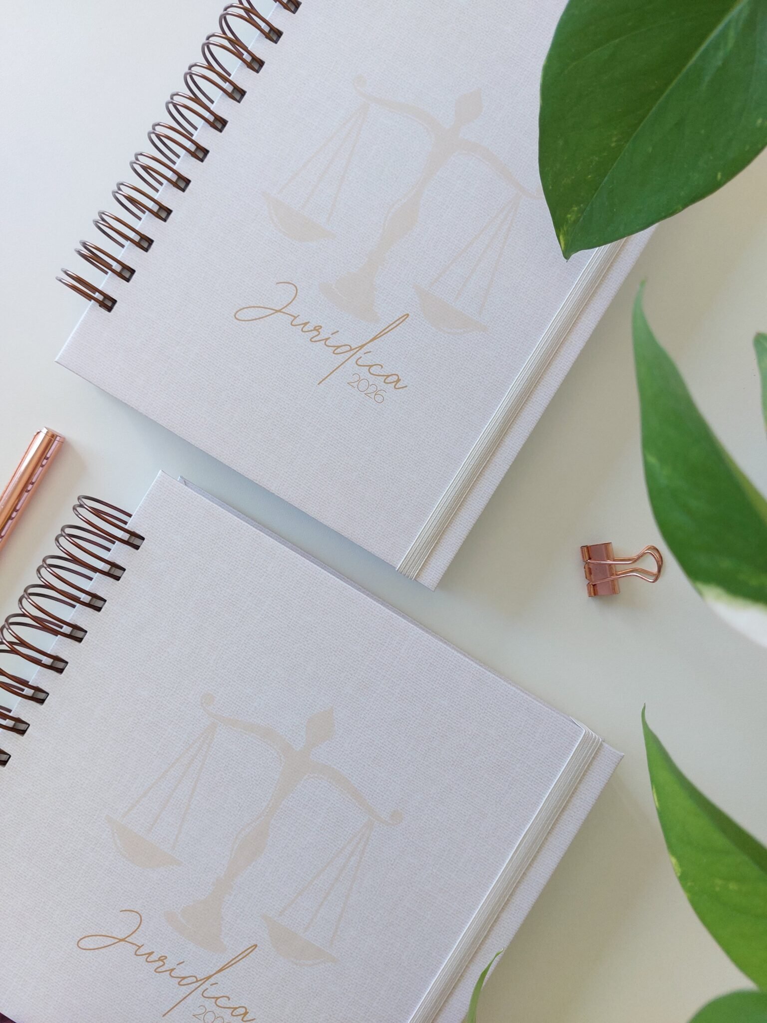 Agenda Jurídica 2026 - Marta Iurkiu - Imagem 14