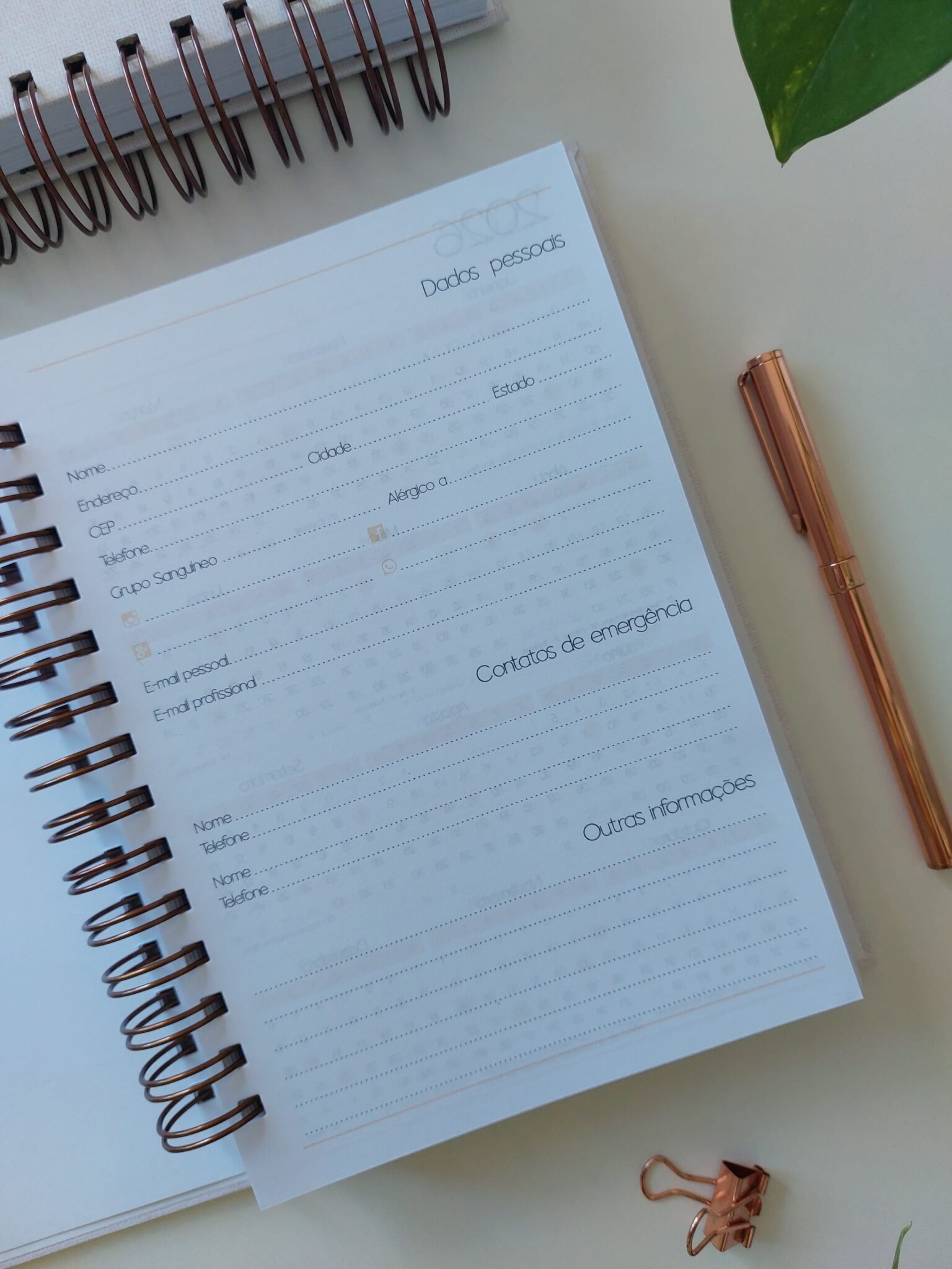 Agenda Jurídica 2026 - Marta Iurkiu - Imagem 7