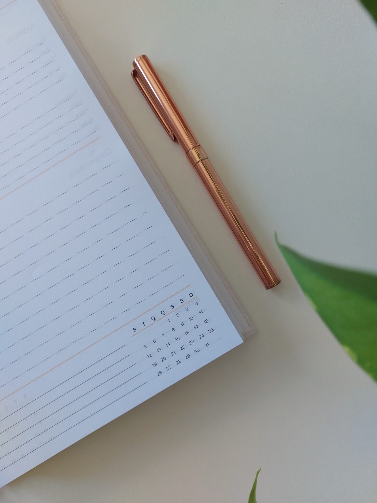 Agenda Jurídica 2026 - Marta Iurkiu - Imagem 6