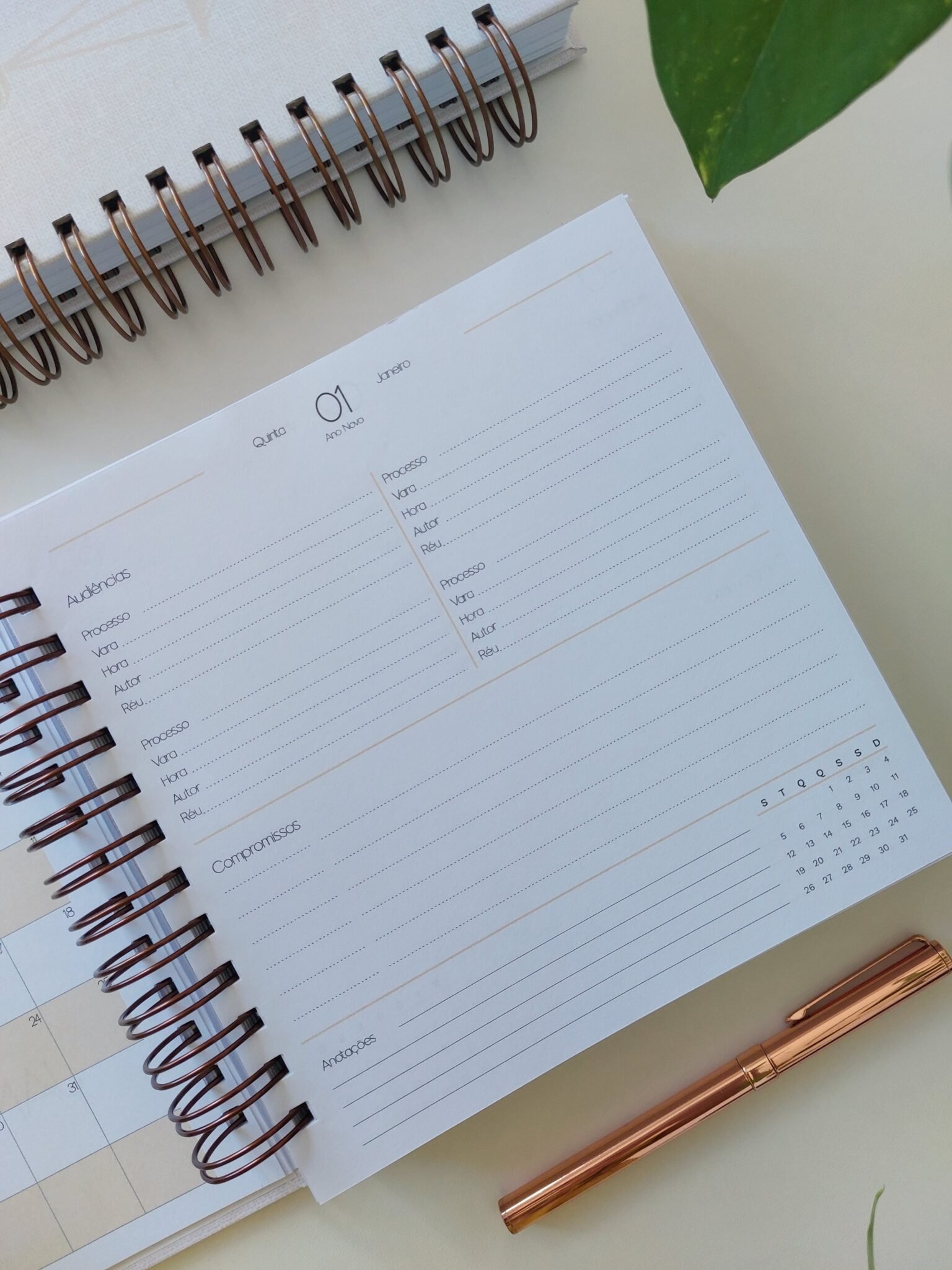 Agenda Jurídica 2026 - Marta Iurkiu - Imagem 13